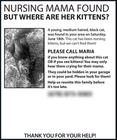 Flyer for Kittens.jpg